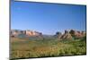 View of Cathedral Rock in Verde Valley, Sedona, Arizona, USA-Massimo Borchi-Mounted Photographic Print