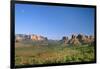 View of Cathedral Rock in Verde Valley, Sedona, Arizona, USA-Massimo Borchi-Framed Photographic Print