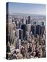 View of Central Manhattan from the Empire State Building-Tom Grill-Stretched Canvas