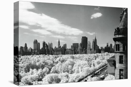 View of Central Park, New York City, New York State, USA-null-Stretched Canvas