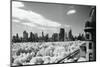 View of Central Park, New York City, New York State, USA-null-Mounted Photographic Print