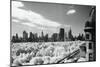 View of Central Park, New York City, New York State, USA-null-Mounted Photographic Print