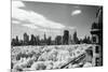 View of Central Park, New York City, New York State, USA-null-Mounted Photographic Print