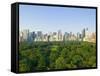 View of Central Park Southwest from Hot Air Balloon-Andria Patino-Framed Stretched Canvas