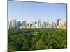 View of Central Park Southwest from Hot Air Balloon-Andria Patino-Mounted Photographic Print