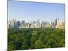 View of Central Park Southwest from Hot Air Balloon-Andria Patino-Mounted Photographic Print