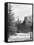 View of Central Park with a Squirrel running around on the Snow-Philippe Hugonnard-Framed Stretched Canvas