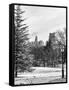 View of Central Park with a Squirrel running around on the Snow-Philippe Hugonnard-Framed Stretched Canvas