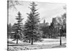 View of Central Park with a Squirrel running around on the Snow-Philippe Hugonnard-Stretched Canvas