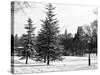 View of Central Park with a Squirrel running around on the Snow-Philippe Hugonnard-Stretched Canvas