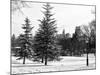 View of Central Park with a Squirrel running around on the Snow-Philippe Hugonnard-Mounted Photographic Print