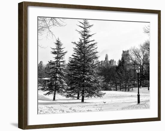 View of Central Park with a Squirrel running around on the Snow-Philippe Hugonnard-Framed Photographic Print
