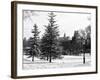 View of Central Park with a Squirrel running around on the Snow-Philippe Hugonnard-Framed Photographic Print