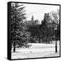 View of Central Park with a Squirrel running around on the Snow-Philippe Hugonnard-Framed Stretched Canvas