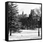 View of Central Park with a Squirrel running around on the Snow-Philippe Hugonnard-Framed Stretched Canvas