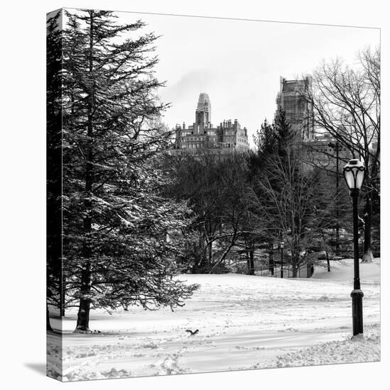 View of Central Park with a Squirrel running around on the Snow-Philippe Hugonnard-Stretched Canvas