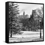 View of Central Park with a Squirrel running around on the Snow-Philippe Hugonnard-Framed Stretched Canvas