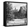 View of Central Park with a Squirrel running around on the Snow-Philippe Hugonnard-Framed Stretched Canvas