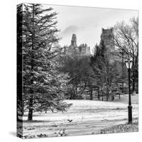 View of Central Park with a Squirrel running around on the Snow-Philippe Hugonnard-Stretched Canvas