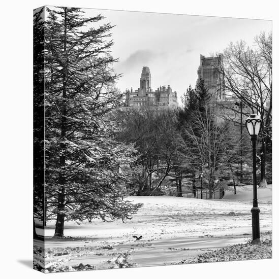View of Central Park with a Squirrel running around on the Snow-Philippe Hugonnard-Stretched Canvas