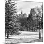 View of Central Park with a Squirrel running around on the Snow-Philippe Hugonnard-Mounted Photographic Print