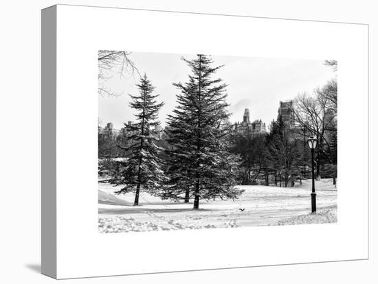 View of Central Park with a Squirrel running around on the Snow-Philippe Hugonnard-Stretched Canvas