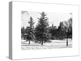 View of Central Park with a Squirrel running around on the Snow-Philippe Hugonnard-Stretched Canvas