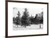 View of Central Park with a Squirrel running around on the Snow-Philippe Hugonnard-Framed Art Print