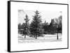 View of Central Park with a Squirrel running around on the Snow-Philippe Hugonnard-Framed Stretched Canvas