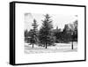 View of Central Park with a Squirrel running around on the Snow-Philippe Hugonnard-Framed Stretched Canvas