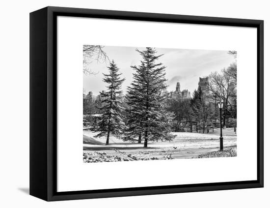 View of Central Park with a Squirrel running around on the Snow-Philippe Hugonnard-Framed Stretched Canvas