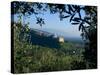 View of Church of San Francesco, Assisi, UNESCO World Heritage Site, Umbria, Italy, Europe-Charles Bowman-Stretched Canvas