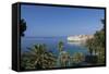 View of City across the Sea and Through Palm Trees-John Miller-Framed Stretched Canvas