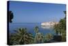 View of City across the Sea and Through Palm Trees-John Miller-Stretched Canvas