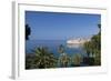 View of City across the Sea and Through Palm Trees-John Miller-Framed Photographic Print