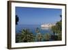 View of City across the Sea and Through Palm Trees-John Miller-Framed Photographic Print