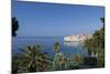 View of City across the Sea and Through Palm Trees-John Miller-Mounted Photographic Print