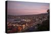 View of City and Ports at Dusk from Paseo 21 De Mayo, Cerro Playa Ancha, Valparaiso-Ben Pipe-Stretched Canvas