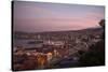 View of City and Ports at Dusk from Paseo 21 De Mayo, Cerro Playa Ancha, Valparaiso-Ben Pipe-Stretched Canvas