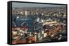 View of City and Ports from Paseo 21 De Mayo, Cerro Playa Ancha, Valparaiso-Ben Pipe-Framed Stretched Canvas