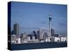 View of City and Tower from the Water, Auckland, North Island, New Zealand-D H Webster-Stretched Canvas