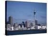 View of City and Tower from the Water, Auckland, North Island, New Zealand-D H Webster-Stretched Canvas