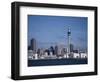 View of City and Tower from the Water, Auckland, North Island, New Zealand-D H Webster-Framed Photographic Print