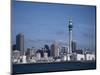 View of City and Tower from the Water, Auckland, North Island, New Zealand-D H Webster-Mounted Photographic Print