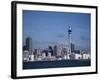 View of City and Tower from the Water, Auckland, North Island, New Zealand-D H Webster-Framed Photographic Print