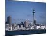 View of City and Tower from the Water, Auckland, North Island, New Zealand-D H Webster-Mounted Photographic Print