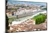 View of City Center of Florence and River Arno, Florence (Firenze), Tuscany, Italy, Europe-Nico Tondini-Mounted Photographic Print