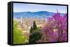 View of City Center of Florence, Firenze, UNESCO, Tuscany, Italy-Nico Tondini-Framed Stretched Canvas