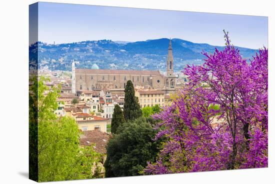 View of City Center of Florence, Firenze, UNESCO, Tuscany, Italy-Nico Tondini-Stretched Canvas