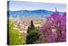 View of City Center of Florence, Firenze, UNESCO, Tuscany, Italy-Nico Tondini-Stretched Canvas